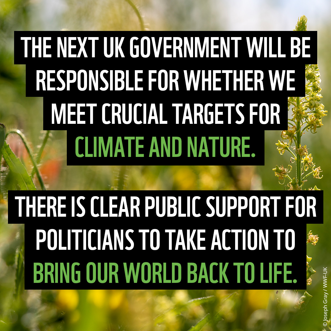 Whoever wins the #GeneralElection will have the last great opportunity to protect people and nature. 🌍 We must let them know the UK public care about our world and want to see real action. 📢