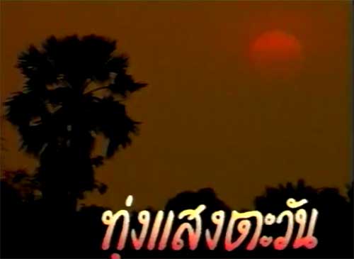 ส่วนทางนี้โตมากับ