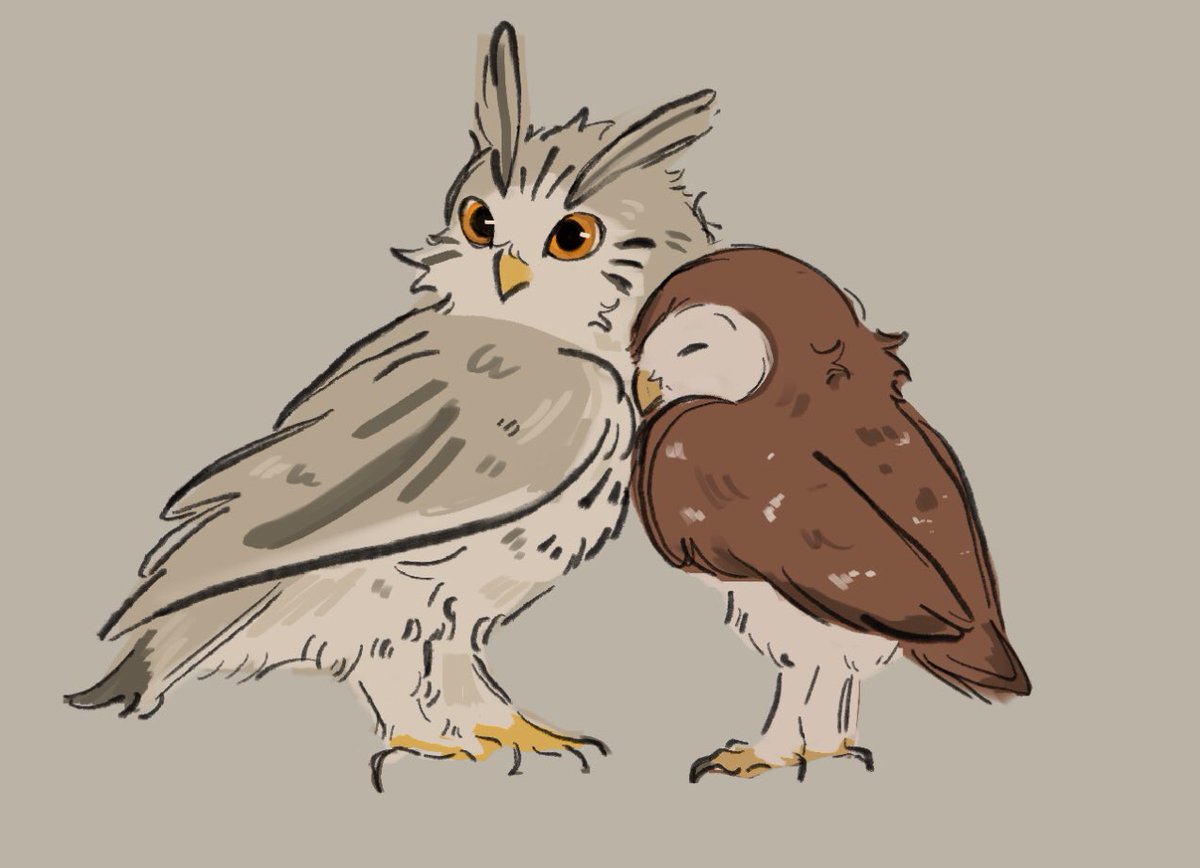 i drew the bokuaka owls 🦉🦉🦉 ( #bokuaka