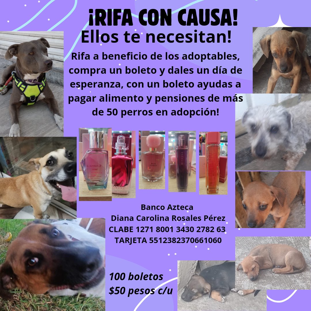 VIBRAmascotas's tweet photo. Ya no hemos vendido boletos, 😞 toda la semana sin vender un solo boleto :(. 
Solo 50 pesitos para ayudar a muchos peluditos que necesitan alimento, pago de pensiones, servicio veterinario etc 
Les das una patita? #rt 
Banco Azteca 
Diana Carolina Rosales Pérez
CLABE 1271 8001 3430 2782 63 
TARJETA 5512382370661060

BANCOMER
Diana Carolina Rosales Pérez 
4152314199269617
Clabe 012 180 01599547546 5

Spin Oxxo 
4217 4700 5339 4454

Paypal  (nos cobra comisión) 
https://t.co/Gc82EZ7Ps0