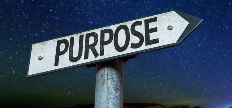 DO YOU BELIEVE EVERYONE HAS A PURPOSE? HAVE YOU FOUND YOURS YET?