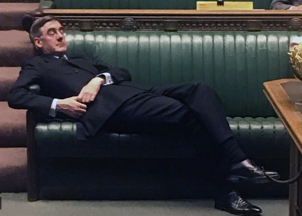 prodnose's tweet photo. Mogg. Not so fucking comfortable now are you? https://t.co/k49JoIgxMN