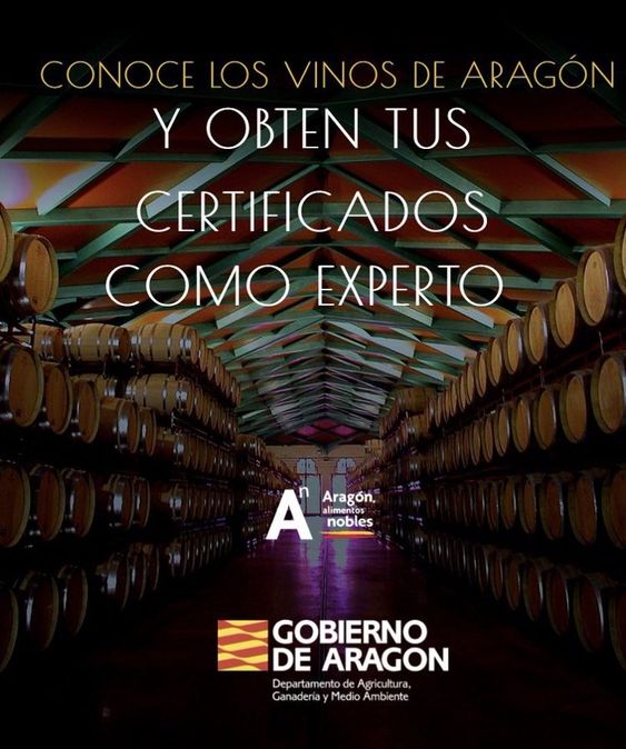 🔝🍇 ¿Conoces los cursos gratuitos #AragonWineExpert de @aragonalimentos? 📜🍷 Conviértete en todo un experto en el sector vitivinícola aragonés y consigue tu certificado oficial. 🧑‍💻 Entra en aragonwineexpert.com y descubre un mundo apasionante.