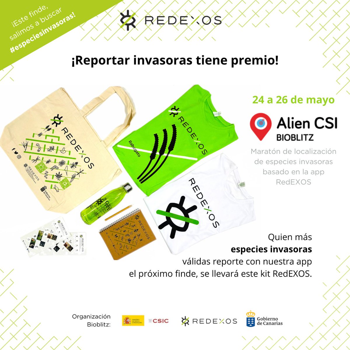 ¡Este año, reportar #EspeciesInvasoras en el #AlienBioblitz24 tiene premio! La persona que más reportes válidos genere durante los tres días del evento (próximo finde), será agraciada con este kit. ¡Súmate a defender la biodiversidad canaria y llévatelo!