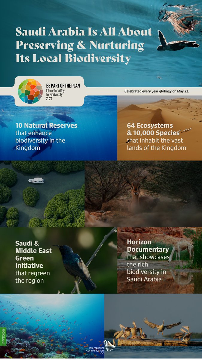 With full fledged efforts, Saudi Arabia is #PartOfThePlan that respects, protects, and repairs the biological wealth covering its land and thus the planet. #BiodiversityDay