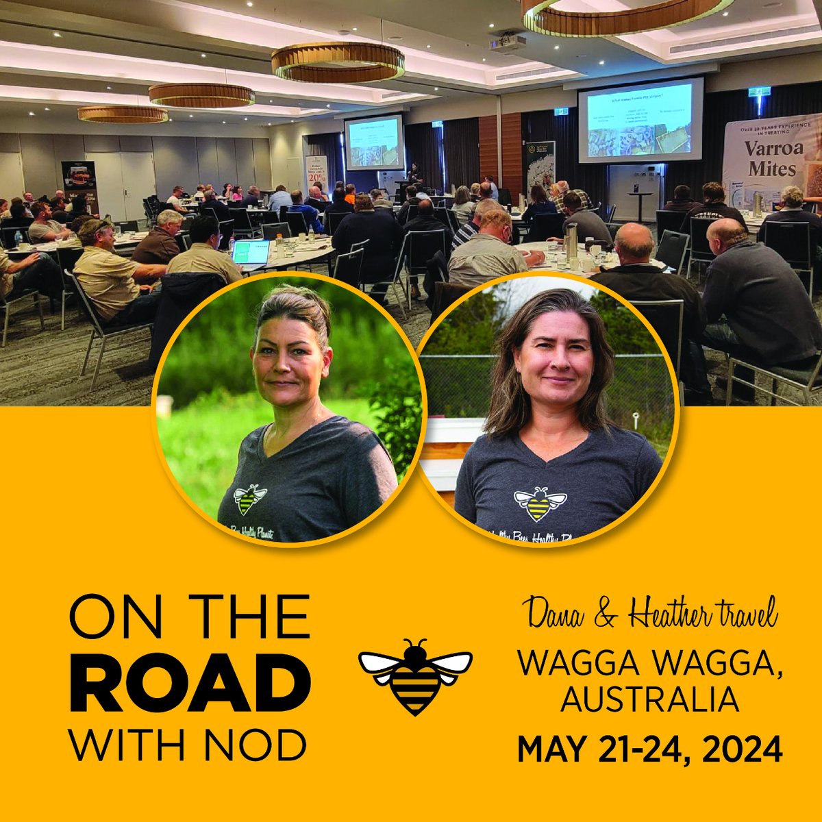 NOD Apiary Products tweet media