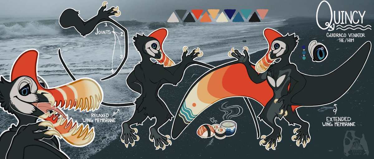 Welcome to my page! I'm an artist, animal educator, and aspiring evolutionary biologist! I keep many advanced animals, many of which I DO NOT suggest people keep as pets.
⚠️Proship, Pedo/Zoophiles, and feral NSFW DNI⚠️