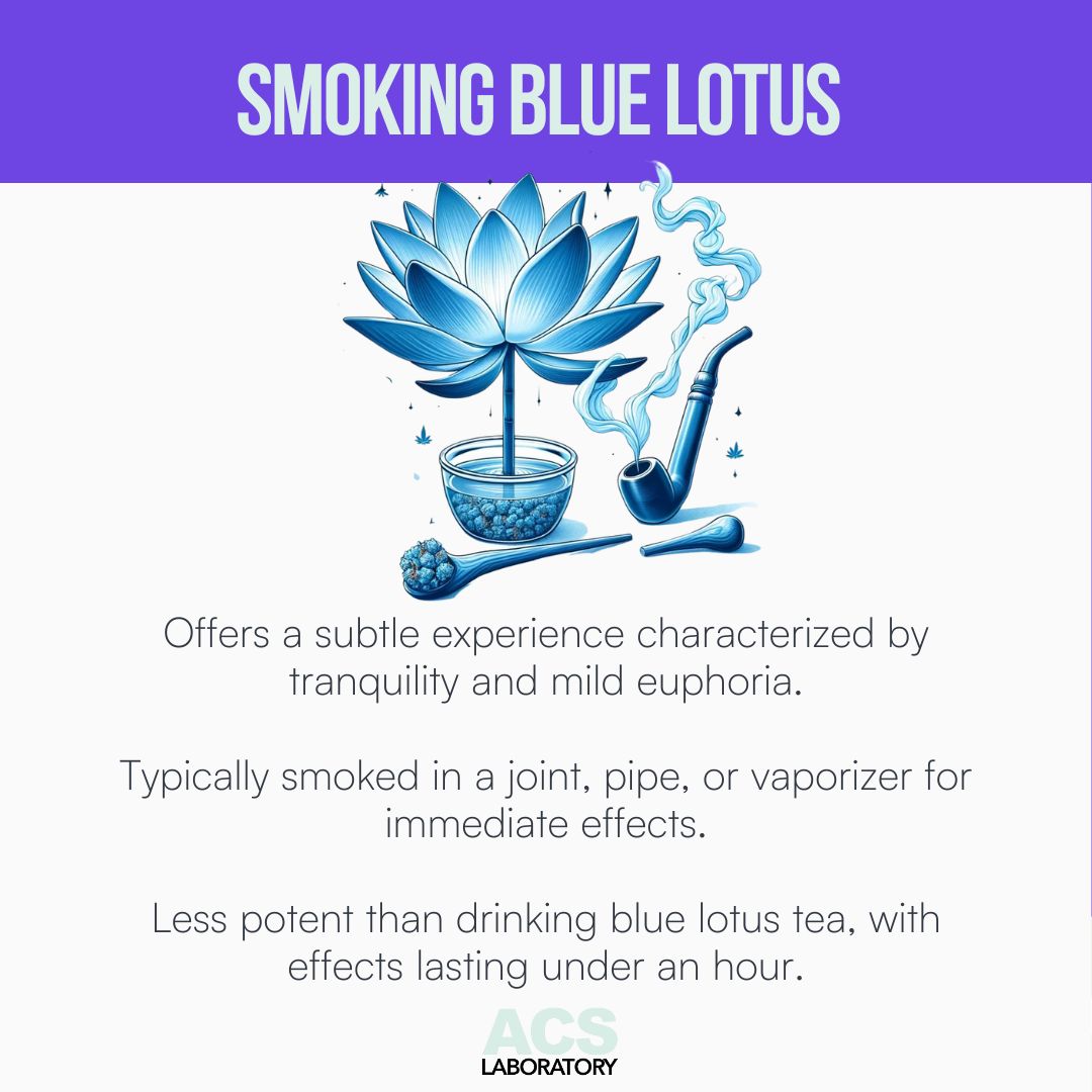 Blue lotus and cannab*s blend for a serene, clear-minded experience. 

Explore their tranquil union in our blog. l8r.it/eQPw

#Wellness #HerbalBlend #BlueLotus #ACS #ACSLaboratory #thirdpartylab