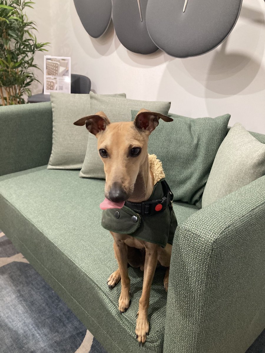 Patrick_Myles's tweet image. Zero out and about at Clerkenwell Design Week #design #workplacedesign #workplacetechnology #furnituredesign #contractfurniture #interiordesign #interiorarchitecture #cdw2024 @works_mag @InsightOnWork @MillikenFloors