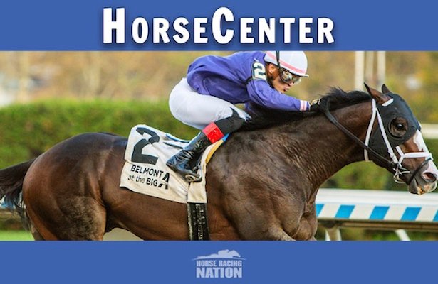 HorseCenter: @Zipseatthetrack and @AndyScoggin make their picks for Lone Star stakes horseracingnation.com/blogs/HorseCen…