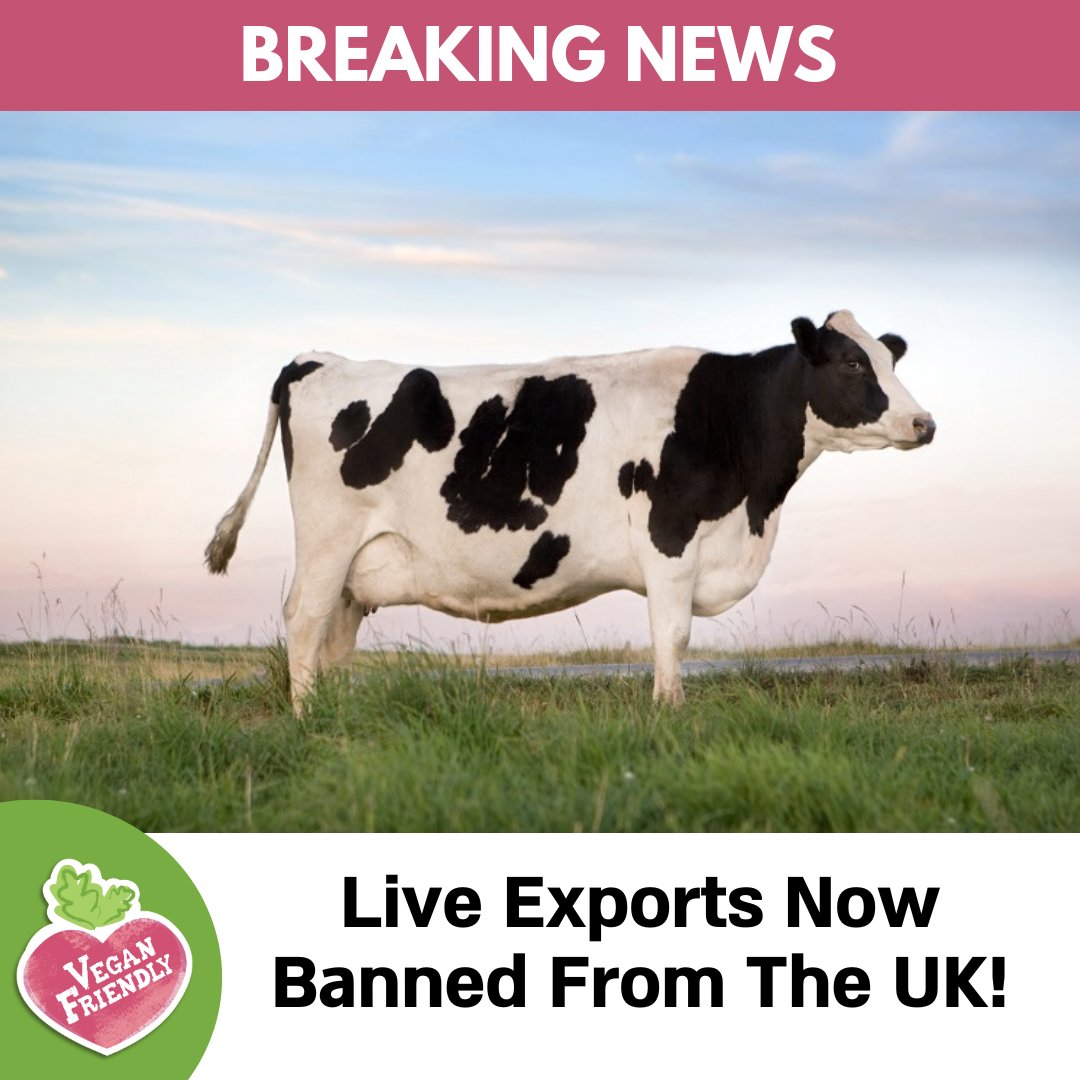 A new law prohibiting the export of live animals has come into effect as the Animal Welfare (Livestock Exports) Act received Royal Assent on Monday, May 20. 

What do you think about this?