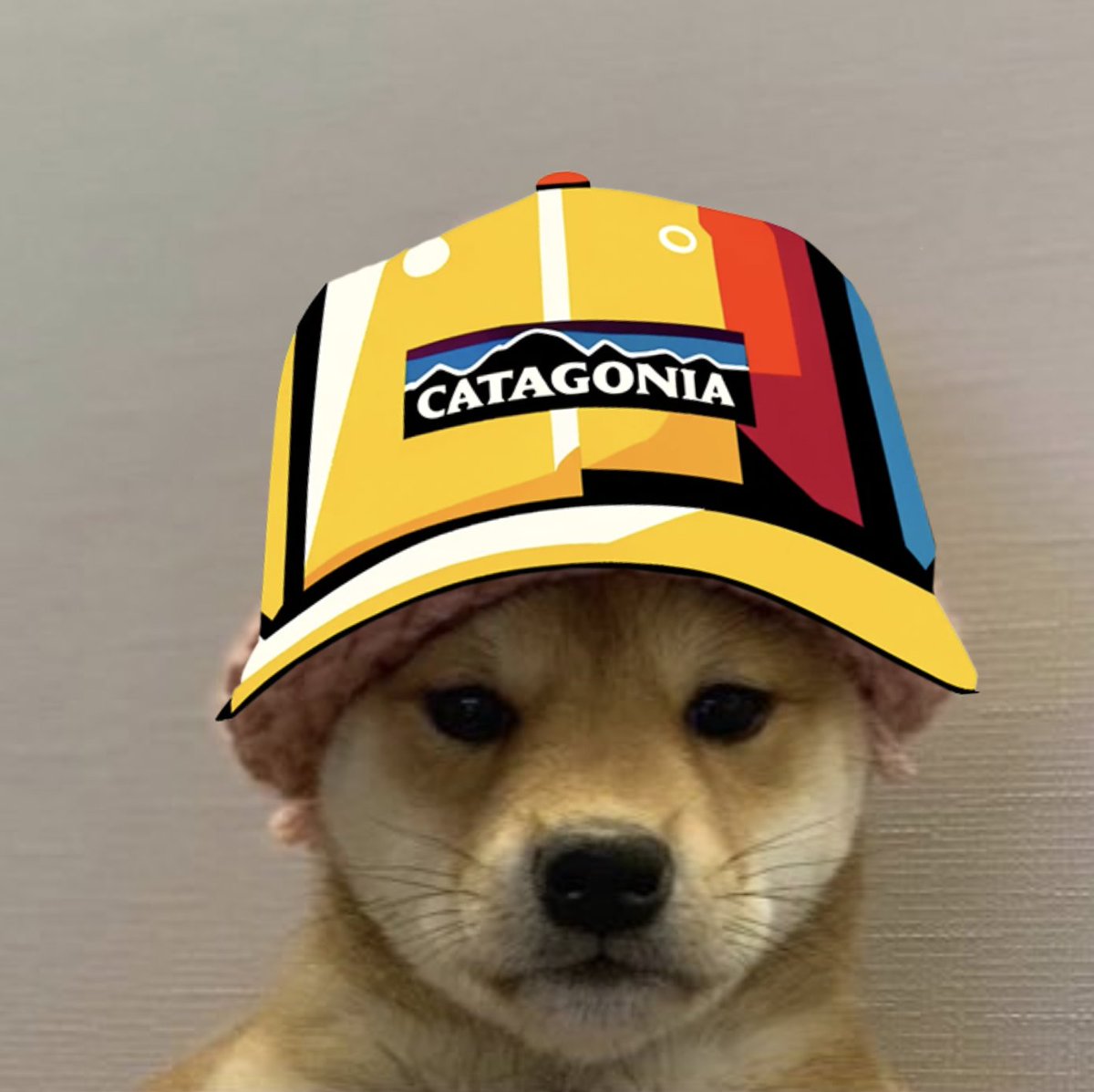 $wif $CATG dog and cats can pump together
