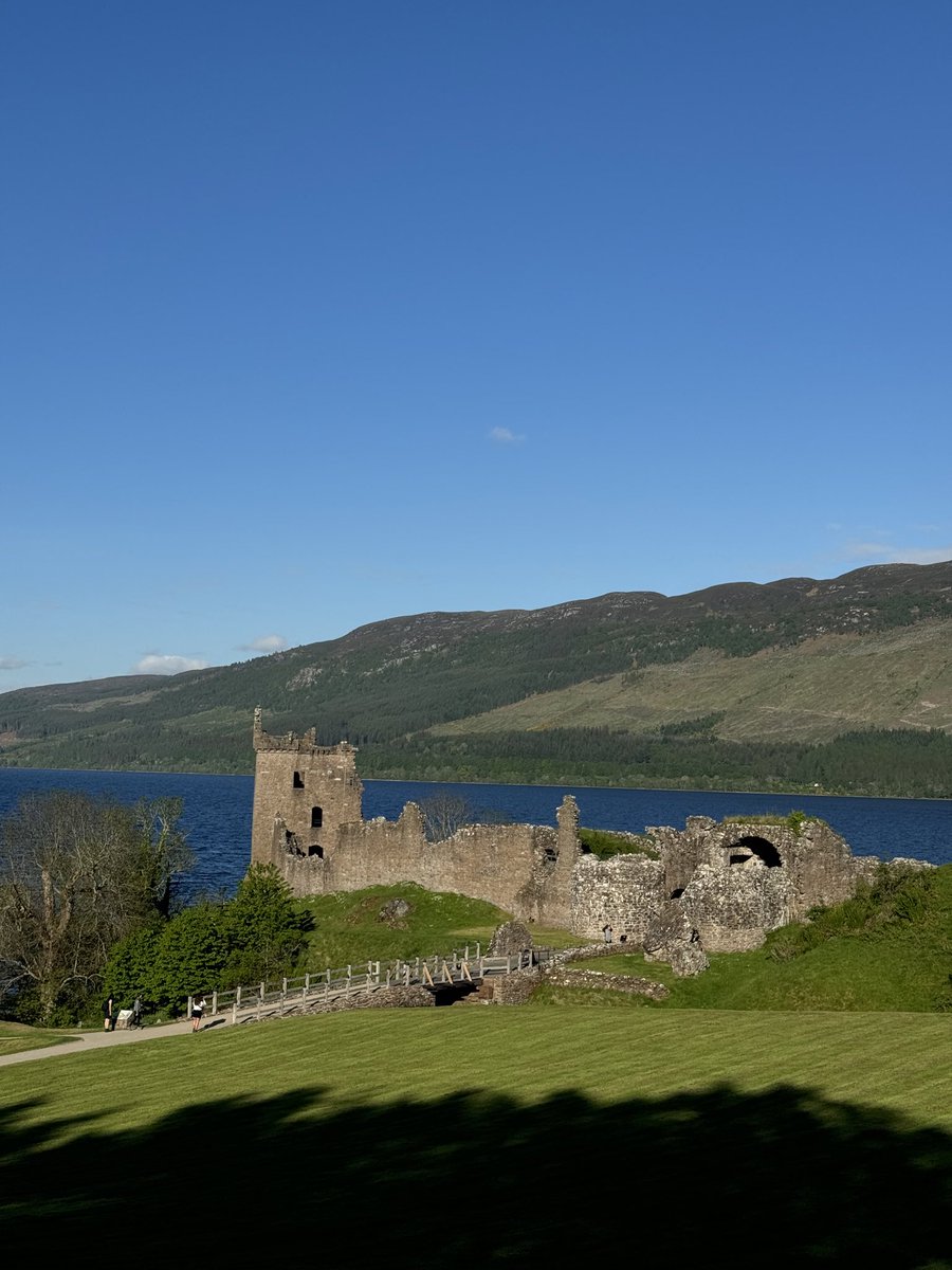 Paingout tweet media