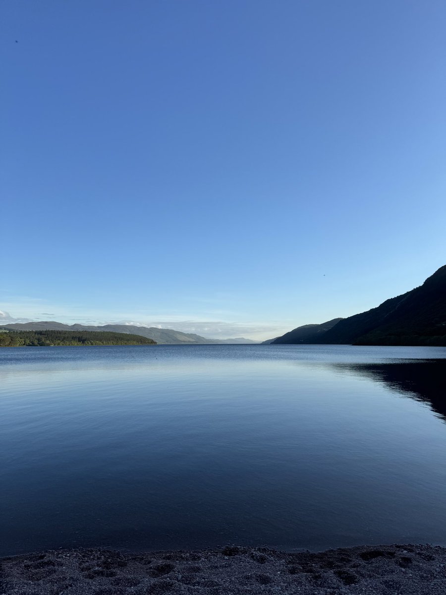 Paingout tweet media