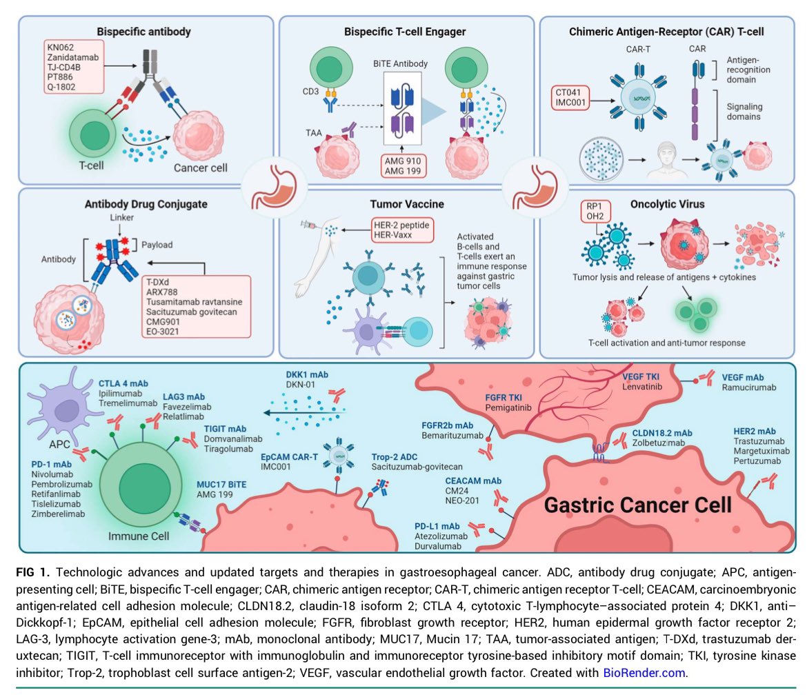 Erman_Akkus's tweet photo. 📘State-of-the-Art Advancements in Gastroesophageal Cancer Treatment

@ASCO Educational Book👇

✅Indicators of a paradigm shift toward personalized and immunotherapy-based approaches for patients with GEC

👉https://t.co/nodLkZItCl

@JCOOP_ASCO @JCO_ASCO @OncoAlert @TargetedOnc @GastricCancerFD 
#cancer #oncology #gastroesoohageal #MedX