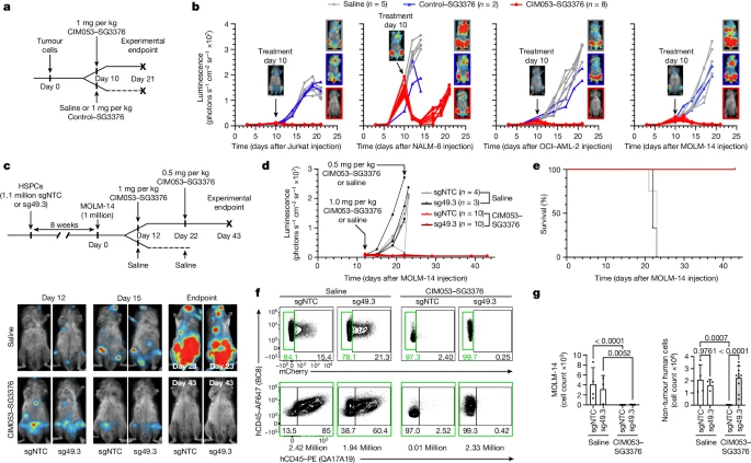 UNIVERSAL DISEASED HEMATOPOIETIC SYSTEM REPLACEMENT: Antibody–drug conjugate targeting CD45 & transplantation of CD45-targeting refractory HSCs enables the selective eradication of leukemic cells with preserved hematopoiesis @Nature @SGaraude @RominaMarone nature.com/articles/s4158…