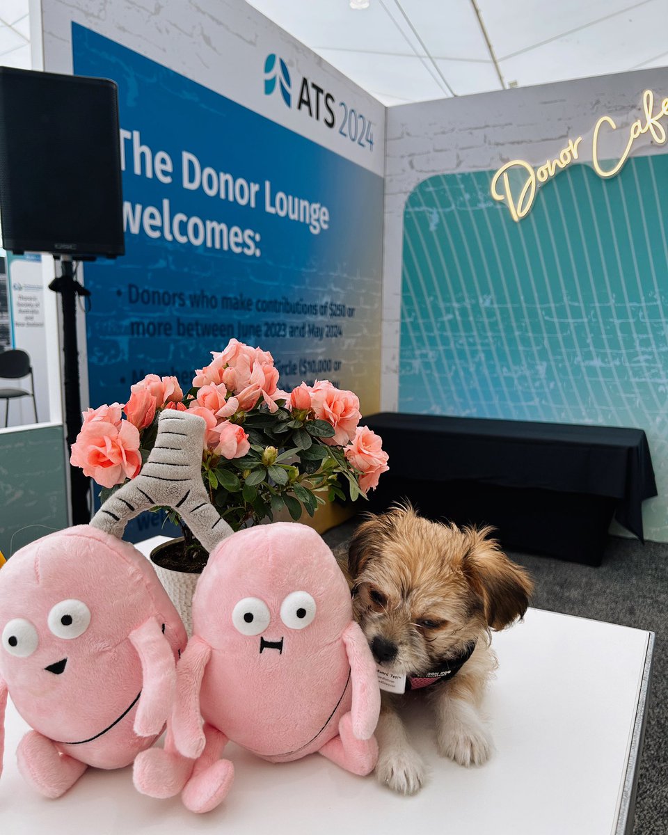 Al & Viola have made a new friend while networking in the Donor Cafe! Together, they are grabbing a snack and winding down from an incredible time at #ATS2024. 🔗Become a donor: thoracic.org/donate