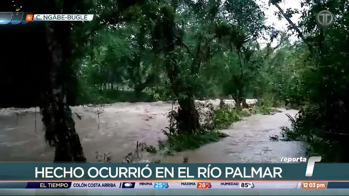 En la Comarca Ngäbe-Buglé dos estudiantes fueron arrastrados por una corriente de agua en el Río Palmar y casi pierden la vida. Docentes hacen el llamado a las autoridades para que construyan zarzos. #TReporta