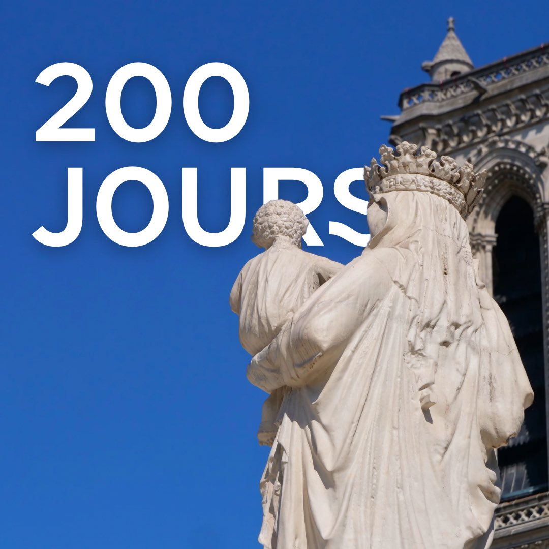Dans 200 jours, la cathédrale Notre-Dame de Paris rouvrira ses portes. #notredame #notredamedeparis #notredameparis #reouverture2024 #reopening