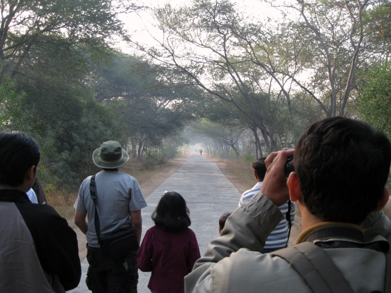 A new @se_casc study finds that 'nature-based experiences, and bird-watching in particular, increase well-being and reduce distress' on college campuses. More of this, please! sciencedirect.com/science/articl…