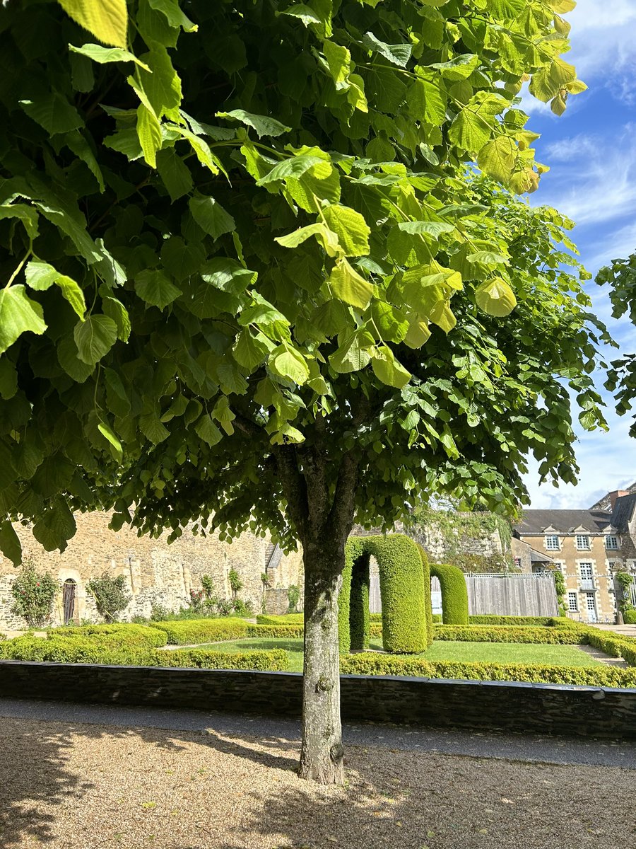 Mouvement des Entreprises de France #Paysdelaloire tweet media