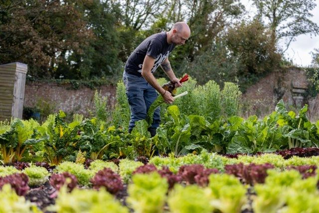 Blue Patch | Sustainably-Minded Business Community tweet media