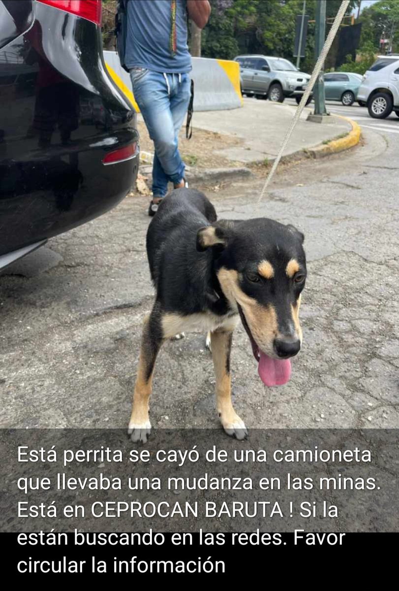Difundir 🔴 Atencion