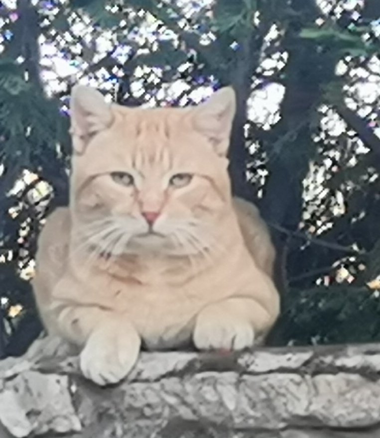 NewBertrand's tweet image. &quot;Un psychisme tourmenté, torturé par un passé douloureux et profondément enfoui ne peut avoir accès à la #vision des #processus.&quot;
Yvon Achard
Ouverture #lecture
#Dna #Adn #Healing  Urgence ?