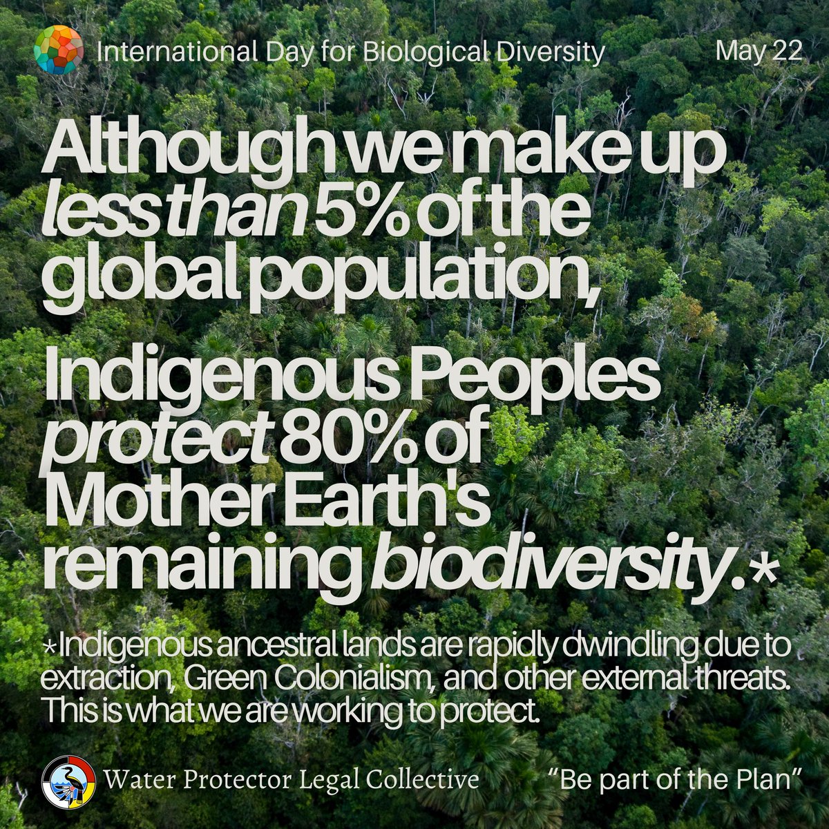 Water Protector Legal Collective tweet media