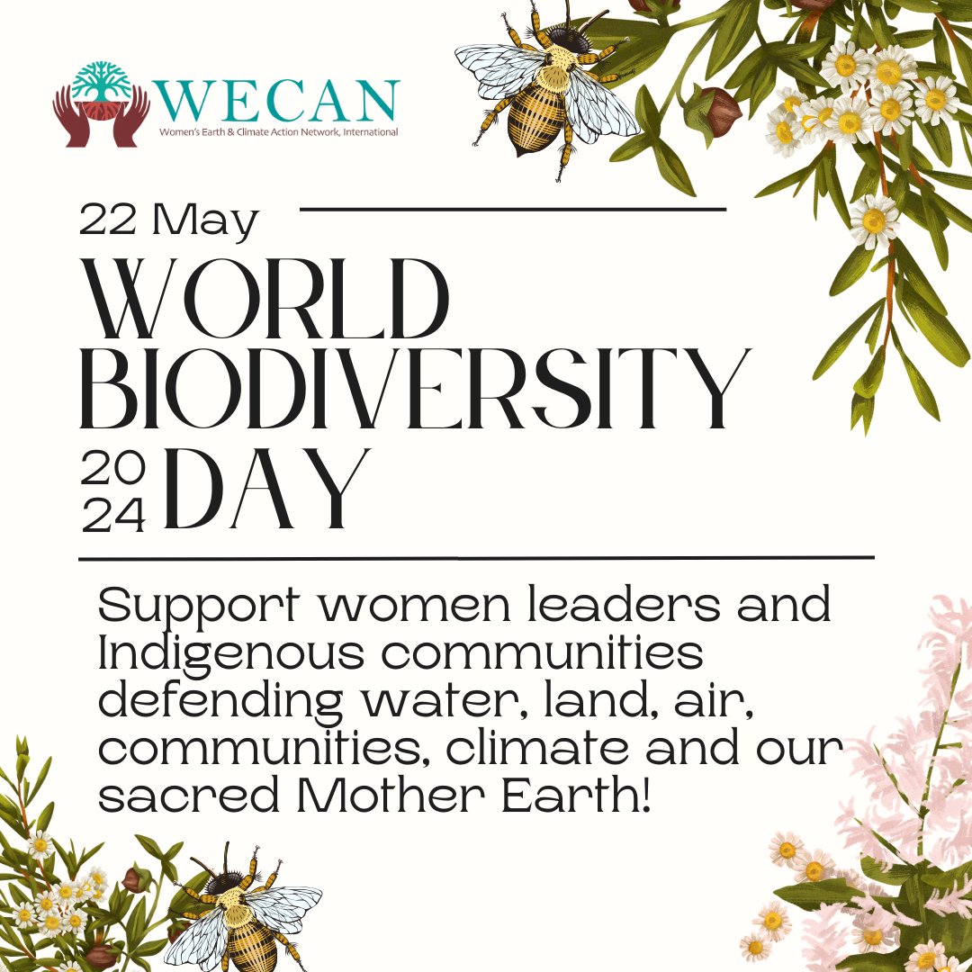 🌍✨ Honoring World #BiodiversityDay! ✨🌍 On this World Biodiversity Day, let’s commit to actions that honor and protect the intricate web of life. By standing in solidarity with women leaders & Indigenous communities and advocating for climate and social justice, we can create