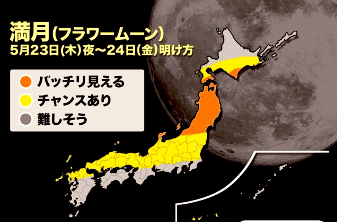 おはよう☀️ 今夜は23時少し前に満月 ｢フラワームーン｣ だって🌸 しかしお天気が怪しいとこが多いみたいだね🥺関東関西はだめぽい😓 東北はバッチリ見れそう🥰 北陸から山陰は雲の間から。 北海道の太平洋側も早い時間に見れる可能性💦 残業してるとすっかり疲れて見るの忘れて帰っちゃう🥺