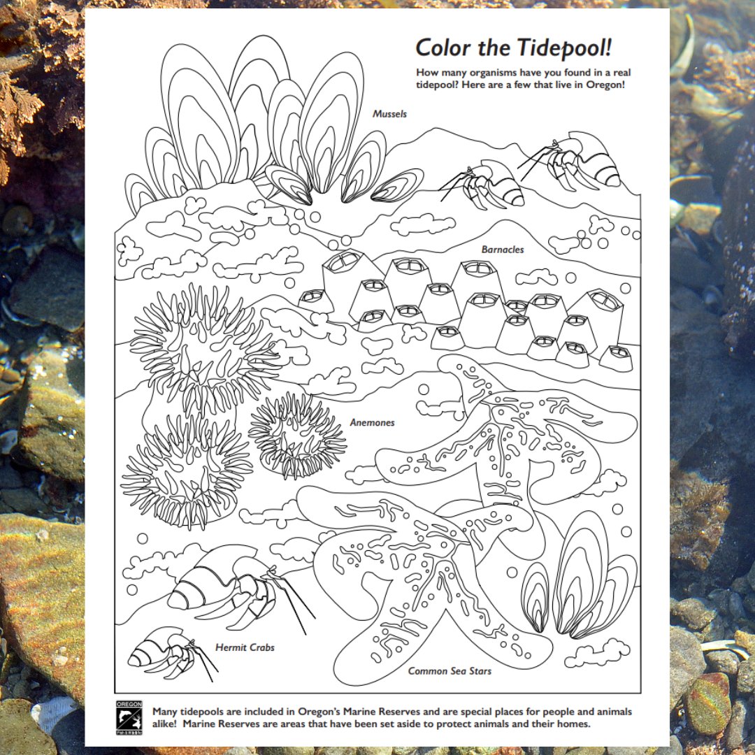 State Library of OR tweet media