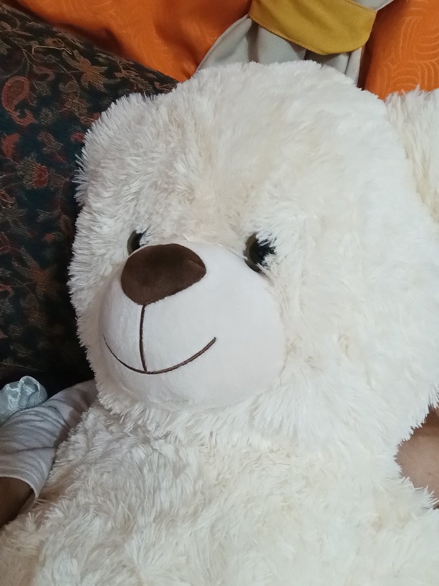 Hoy mi papá fue con mi mamá al supermercado y me trajo este oso, todo porque se acordó que hace como 10 años me regaló uno casi igual. Soy llanto