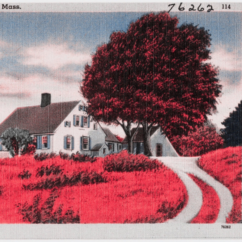 "Were all the taxes on the land, and the people's land free, then the hitherto landless could soon build their own homes on their own land, and raise all they needed to consume or exchange, and no longer need the land, house, or capital of others; then rent, interest, and even