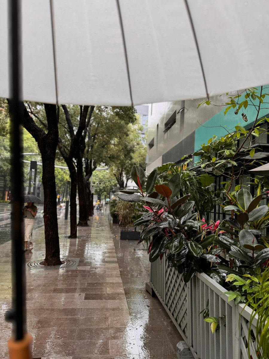 細かい雨が降って、スリッパを履いて車を運転して警察のおじさんに見つけられて罰金を取られます。😠😠