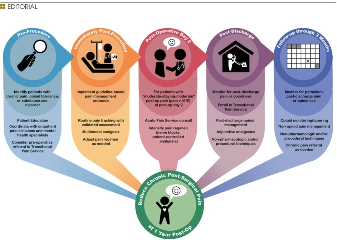 Ed Mariano, MD, MAS, FASA, FASRA 🇺🇸🇵🇭 (@emarianomd) on Twitter photo So happy to see our editorial published!
How well do we understand postop pain trajectories after cardiac surgery? Can we identify patients at risk of chronic pain and opioid use? What can we do to prevent this?
Free to read <a href="/IARS_Journals/">Anesthesia&Analgesia</a> journals.lww.com/anesthesia-ana… So happy to see our editorial published!
How well do we understand postop pain trajectories after cardiac surgery? Can we identify patients at risk of chronic pain and opioid use? What can we do to prevent this?
Free to read <a href="/IARS_Journals/">Anesthesia&Analgesia</a> journals.lww.com/anesthesia-ana…