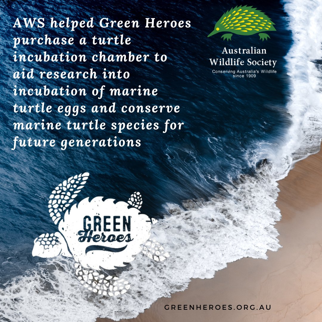 AustralianWild2's tweet photo. It's World Turtle Day! 
Learn about AWS funded turtle projects and how you can protect turtles. 🐢 

#WorldTurtleDay #AustralianWildlifeSociety #WildlifeConservation #AustralianWildlife #conservation  #FreshwaterTurtle #AustralianTurtles #TurtleSat #OneMillionTurtles https://t.co/DC5R9cHoEf