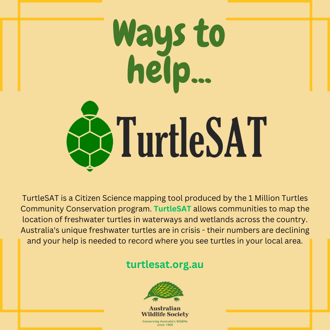 AustralianWild2's tweet photo. It's World Turtle Day! 
Learn about AWS funded turtle projects and how you can protect turtles. 🐢 

#WorldTurtleDay #AustralianWildlifeSociety #WildlifeConservation #AustralianWildlife #conservation  #FreshwaterTurtle #AustralianTurtles #TurtleSat #OneMillionTurtles https://t.co/DC5R9cHoEf