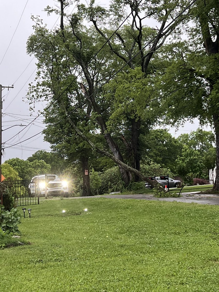 Plenty of trees down in neighborhoods across and around Nashville. Be careful on your way home this evening!