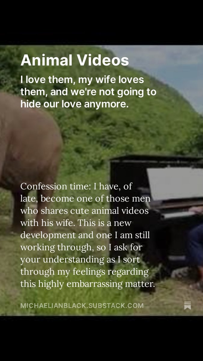 I wrote about my love for animal videos. michaelianblack.substack.com/p/animal-videos