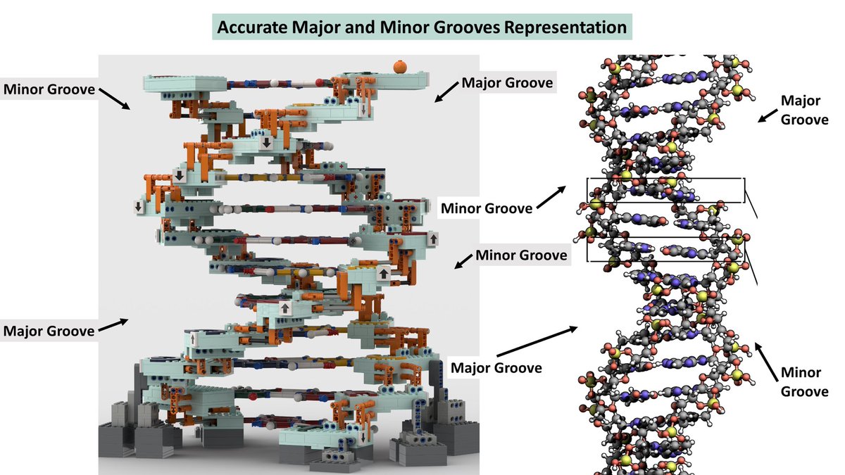Lego DNA tweet media