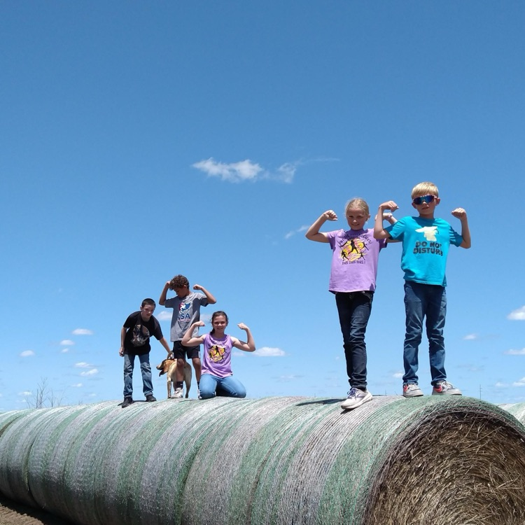 BlackmoreBears's tweet image. The Varner family opened their farm up to our 5th graders to learn about life on the farm! Check out their adventures and even more pictures on Class Dojo! #BEfamily PartOfThePride #FarmLife