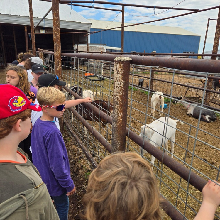 BlackmoreBears's tweet image. The Varner family opened their farm up to our 5th graders to learn about life on the farm! Check out their adventures and even more pictures on Class Dojo! #BEfamily PartOfThePride #FarmLife