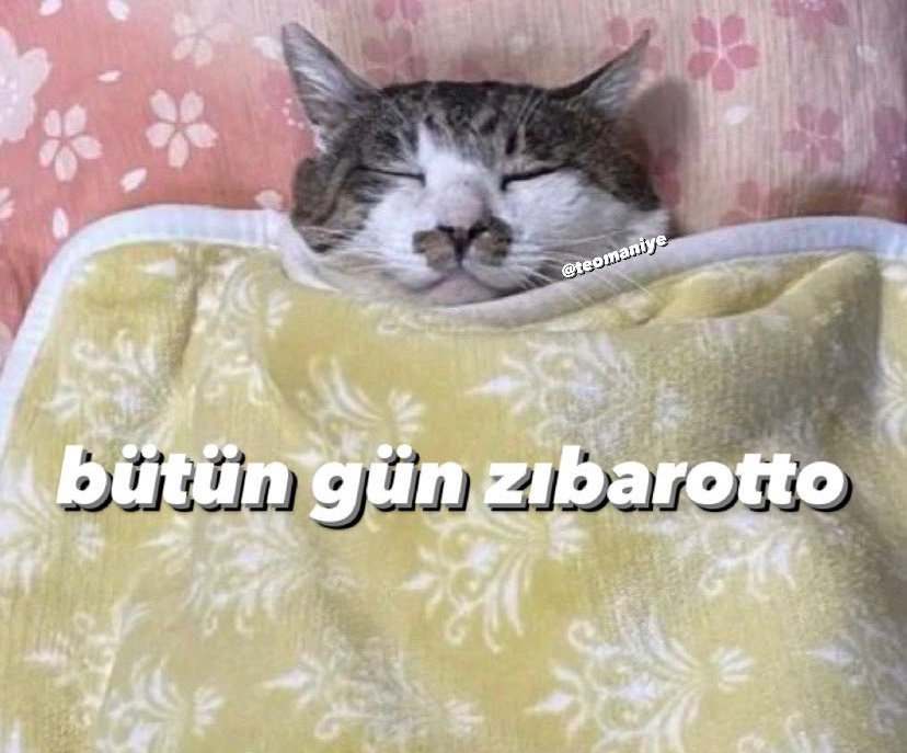 çoğunuza iiiii gecelerrr