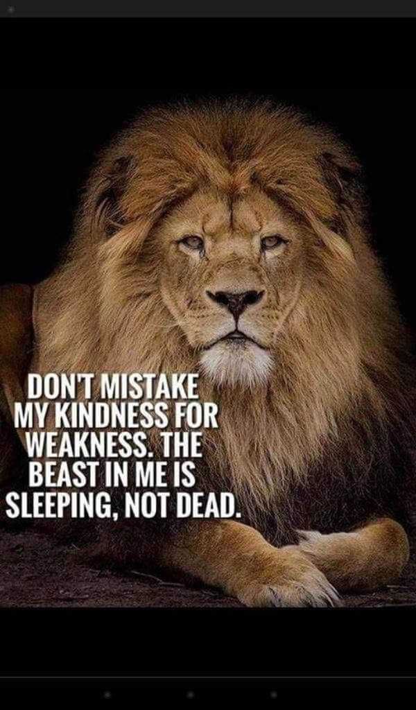 LuiAmato's tweet photo. Like it says… https://t.co/6wybEP1wfH