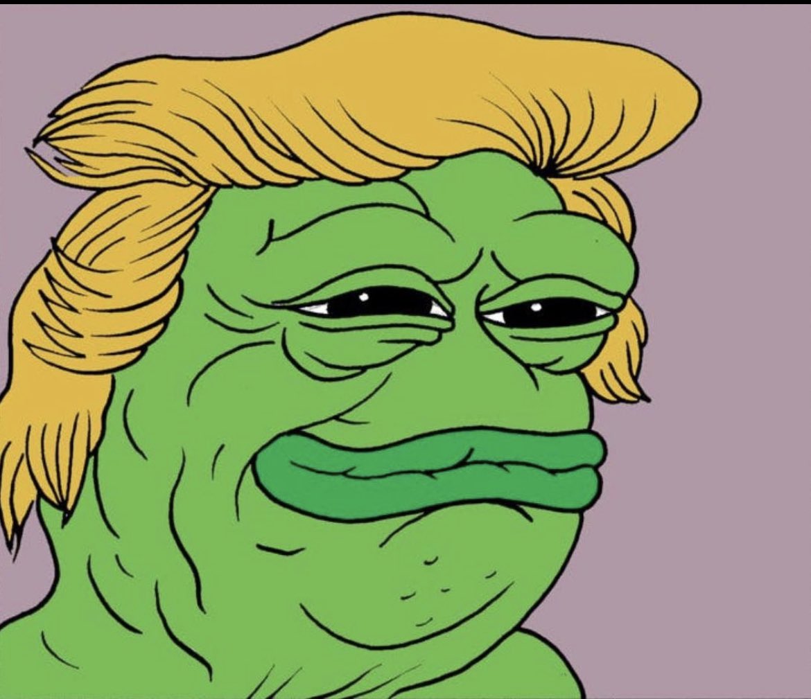 acti0nMaN1984's tweet photo. @finallyx And what’s a better way to onboard everyone knows trump and Pepe $trumpe he’s getting my vote @TrumpPepeOnETH https://t.co/aM1zPKY8Ol
