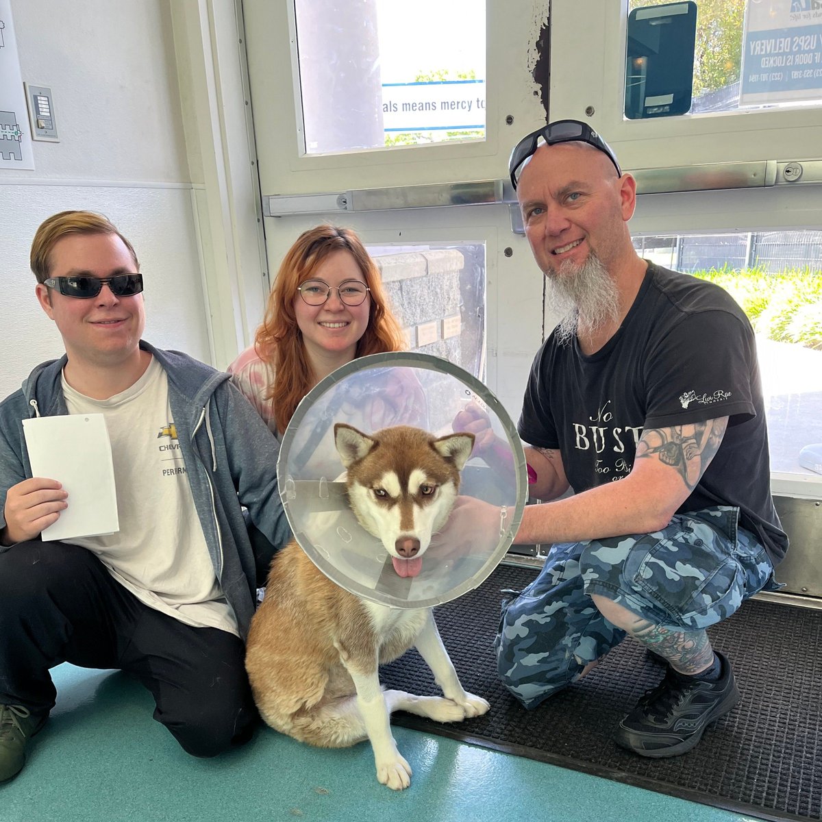 Going home with a cone! Happy day for Lotus and family. #FriendsForLife #spcaLAadopt #spcaLAalum #HappyAdoption #AdoptDontShop