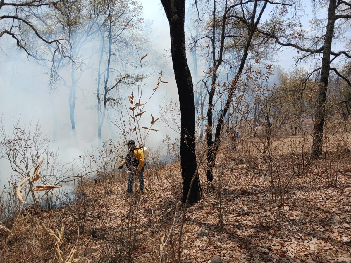 Sobrevolamos el incendio forestal que se registra entre los límites de Purépero y Zacapu, mientras que brigadistas de los tres niveles de gobierno y voluntarios continúan los trabajos por tierra para la liquidación del fuego.