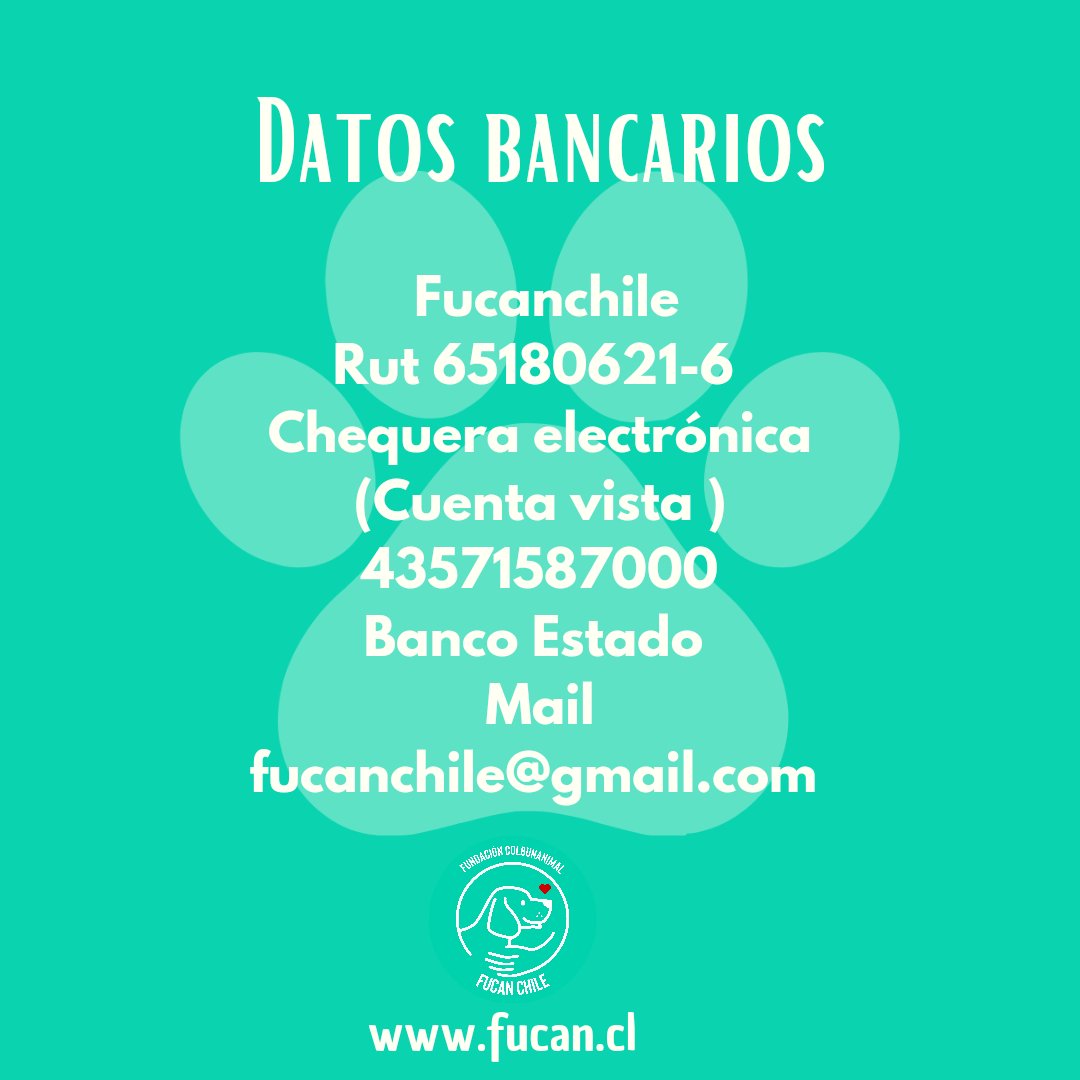 URGENTE AYUDA PORFAVOR SÓLO PIEL ,HUESOS Y ESCARAS 💔,está con nosotros ya ❤️, debemos llevarlo al veterinario, tomar ecografía , exámenes de piel ,sangre ,etc y comida mucha comida . Tu ayuda porfavor fucan.cl