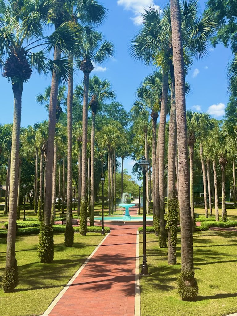 Ashton Goll tweet media